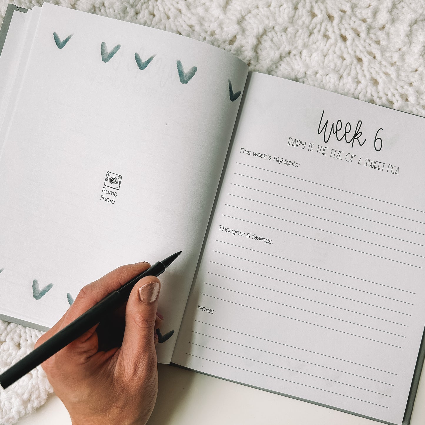 Two page spread features a blank page for a photo on the left with a heart border on top and bottom of page. Right side is titled Week 6 with baby is the size of a sweet pea beneath and three prompts.