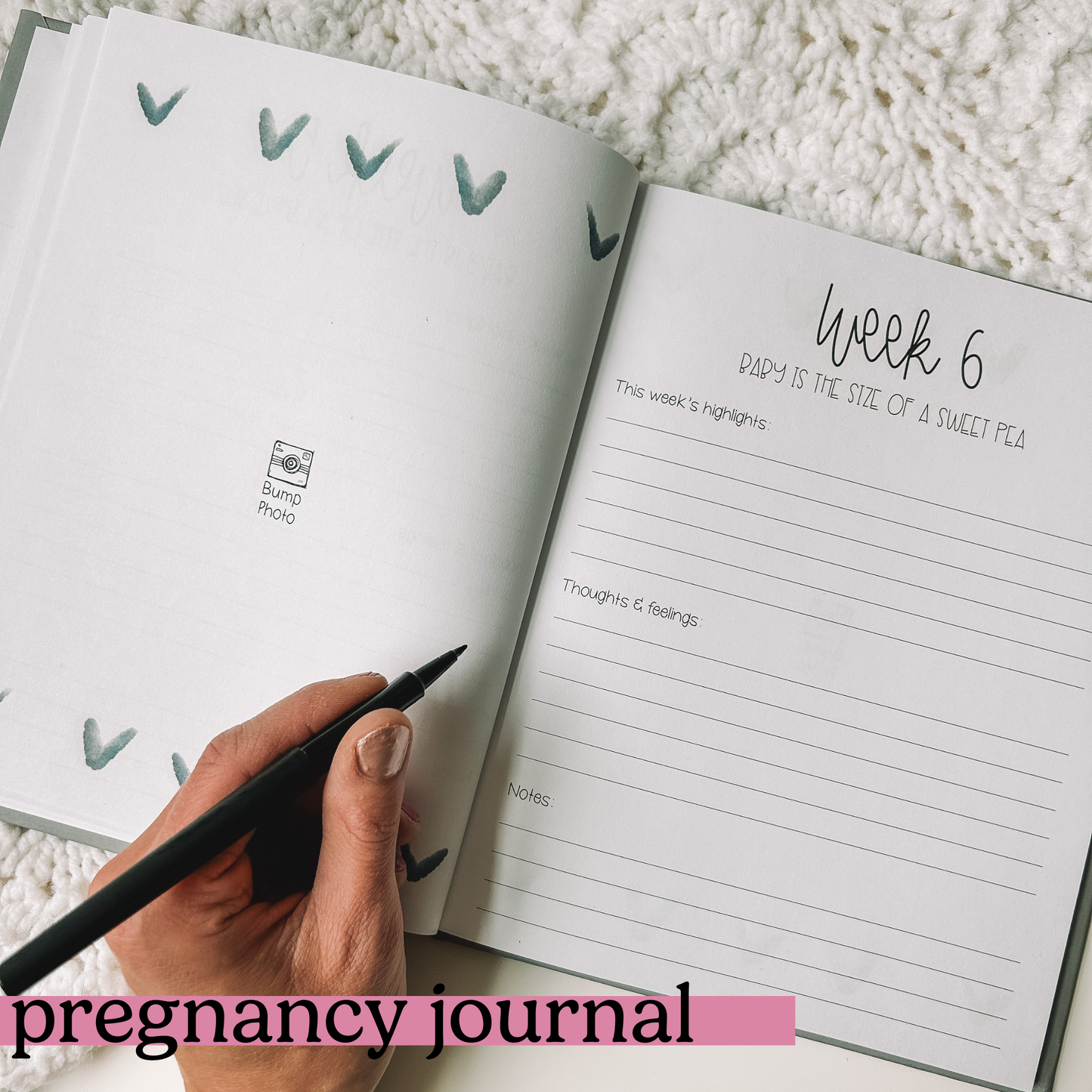 Two page spread features a blank page for a photo on the left with a heart border on top and bottom of page. Right side is titled Week 6 with baby is the size of a sweet pea beneath and three prompts.