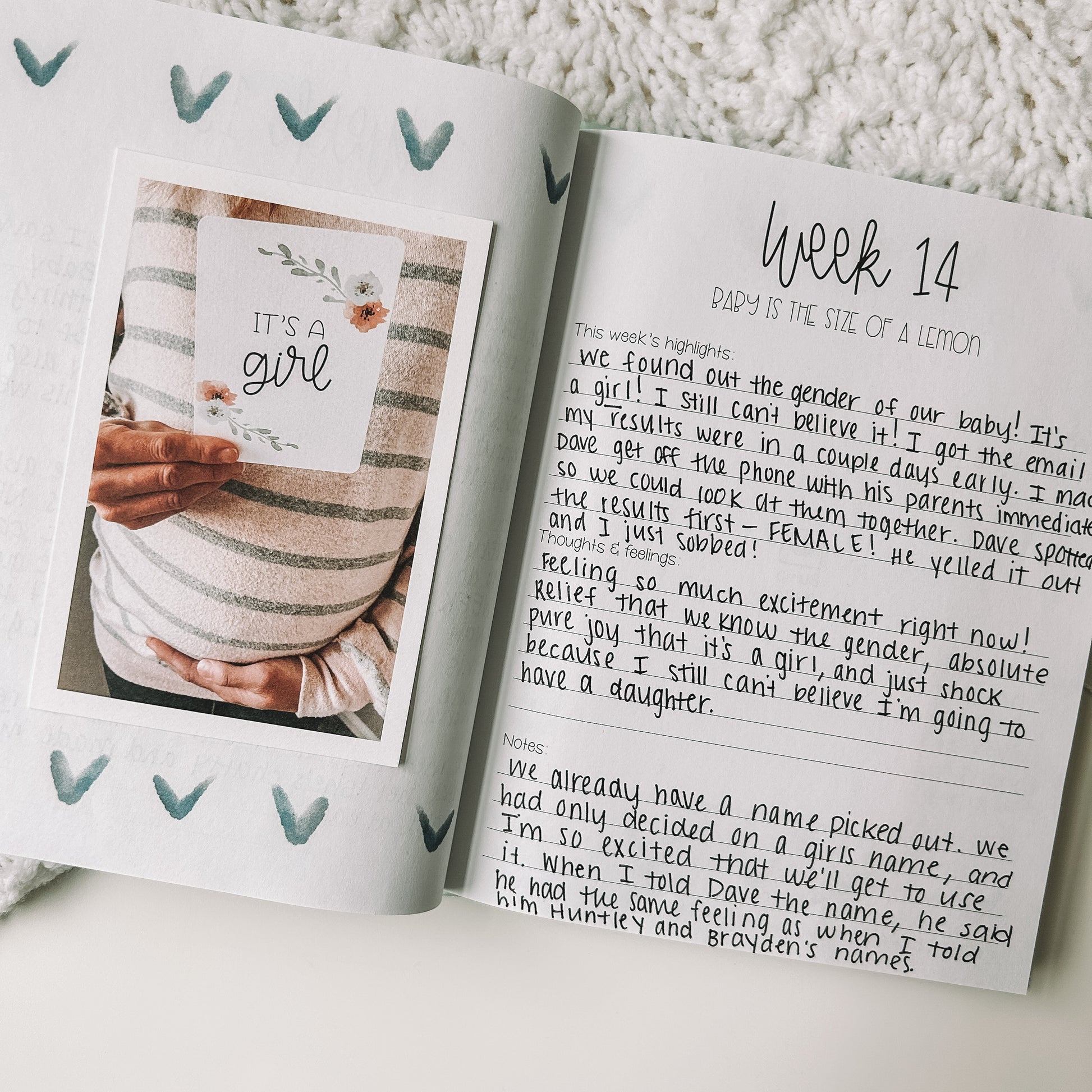 Two page spread features a photo of a pregnant person holding her belly and a card that reads It's a Girl on the left page. The right page reads Week 14 with three prompts.