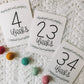 Three cards that read 4 weeks, 23 weeks, and 34 weeks with a leafed branch above and below the black text.